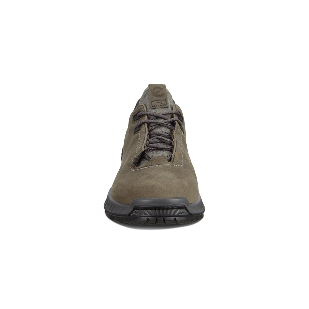 ECCO Mens Hiking Shoes Olive - Exohike Low Gtx - IRG-286754